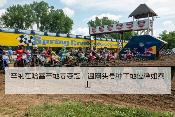 辛纳在哈雷草地赛夺冠，温网头号种子地位稳如泰山