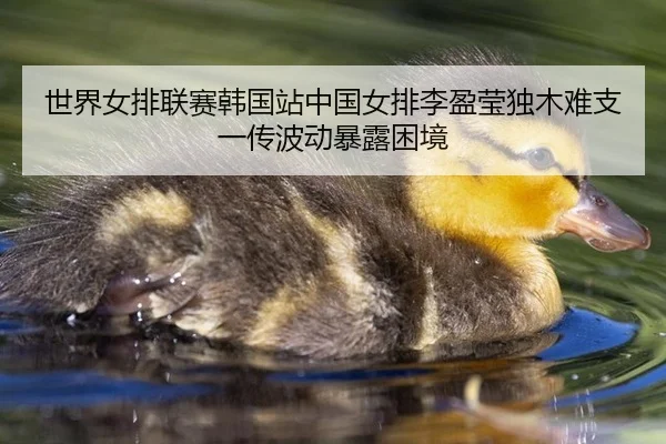 世界女排联赛韩国站中国女排李盈莹独木难支一传波动暴露困境