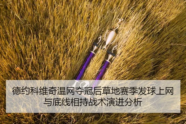 de-yue-ke-wei-qi-wen-wang-duo-guan-hou-cao-di-sai-ji-fa-qiu-shang-wang-yu-di-xian-xiang-chi-zhan-shu-yan-jin-fen-xi-3-204.jpg